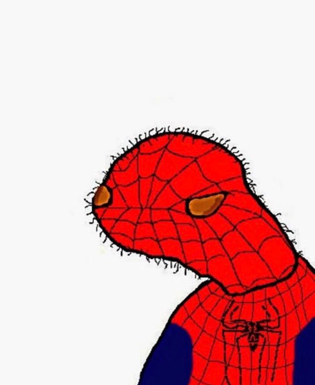 spooderman meme